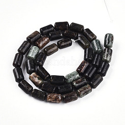 Природного биотита нитей бисера G-N346-01B-02