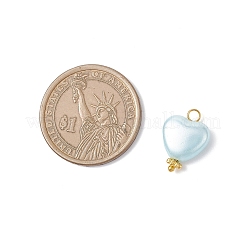 Непрозрачные акриловые подвески сердце&nbsp;PALLOY-JF04283-02