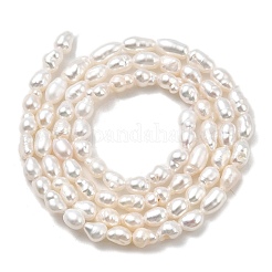 Нити из натурального культивированного пресноводного жемчуга PEAR-I007-01O-01D