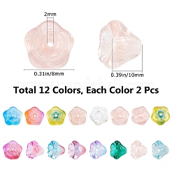 24 Stück 12 Farben transparente tschechische Glasperlen&nbsp;GLAA-SC0001-53