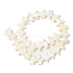 Нити бусин из натуральных трохоидных/трохус ракушек SSHEL-R145-04