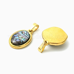 Anhänger aus natürlicher Paua-Muschel und Acryl&nbsp;PALLOY-JF05942-01