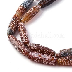 Естественные выветрившиеся агатовые бусины&nbsp;G-P570-C03-01