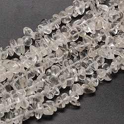 Éclats de cristal de quartz naturel perles brins, perles de cristal de roche, 8~14x4~8x3~6mm, Trou: 1mm, environ 15~16 pouce