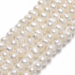 Hebras de perlas de agua dulce cultivadas naturales, patata, crema, 5~5.5x5.5~6x5~5.5mm, agujero: 0.7 mm, aproximamente 69~71 pcs / cadena, 13.98~14.25 pulgada (35.5~36.2 cm)