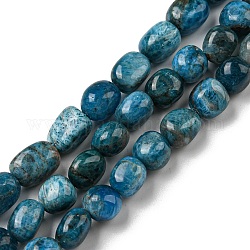 Perline apatite naturale fili, pepite di pietra burattata, 10~14x9~10x8~9mm, Foro: 1 mm, circa 35~36pcs/filo, 15.63''~15.79'' (39.7~40.1 cm)