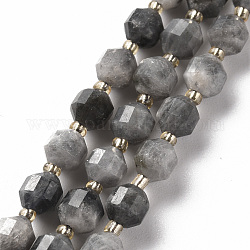 Chapelets de perles en labradorite naturelle , baril, facette, 5.5x4~5mm, Trou: 0.6mm, Environ 55 pcs/chapelet, 14.96 pouce (38 cm)