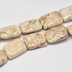 Brins de perles de magnésite naturelle rectangle, blanc crème, 20x15x7mm, Trou: 1mm, Environ 20 pcs/chapelet, 15.7 pouce