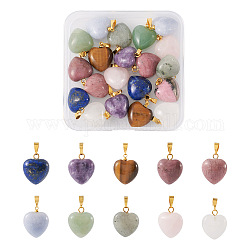 Fashewelry 20Pcs 10 Styles Natural Mixed Gemstone Pendants, Heart Charm, with Golden Tone Brass Findings, 18x15~15.5x9.5~10mm, Hole: 6x3mm, 2pcs/style