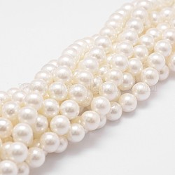 Arcobaleno placcato shell perle fili di perline, grado a, tondo, vecchio pizzo, 10mm, Foro: 1 mm, circa 41pcs/filo, 16 pollice