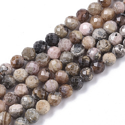 Natural Argentina Rhodonite Beads Strands, Faceted, Round, 4mm, Hole: 0.5mm, about 85~86pcs/strand, 15.75 inch(40cm)