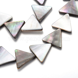 Fili di perline conchiglia nera naturale, triangolo, nero, 15x17x3mm, Foro: 1 mm, circa 27pcs/filo, 15.7 pollice