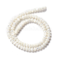 Chapelets de perles de coquille de trochid / trochus coquille, Programmes d'abaque, rondelle, couleur de coquillage, 4x5~6mm, Trou: 0.9mm, Environ 105 pcs/chapelet, 16.54 pouce (42 cm)