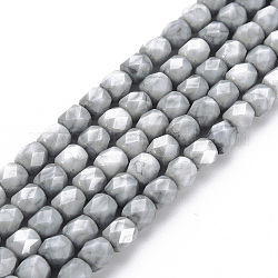 Hebras opacas de perlas de vidrio pintadas para hornear, piedras de imitación, facetados, columna, gris claro, 5.5x5.5mm, agujero: 1 mm, aproximamente 70 pcs / cadena, 15.94 pulgada (40.5 cm)
