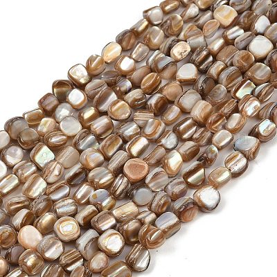 Нити бусин из натуральной ракушки трохус&nbsp;BSHE-Q050-01A-1