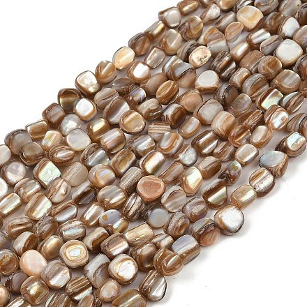 Нити бусин из натуральной ракушки трохус&nbsp;BSHE-Q050-01A-1