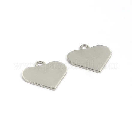 304 Stainless Steel Charms STAS-G130-08P-1