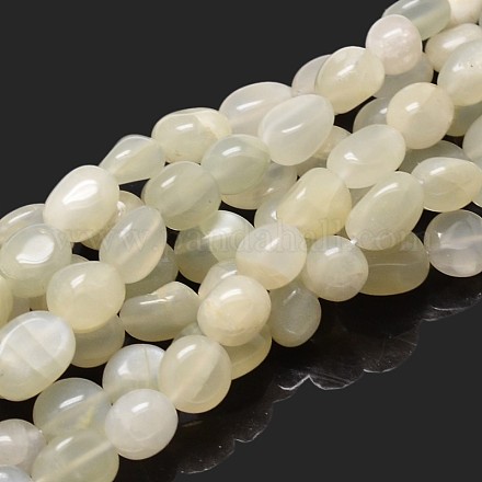 Nuggets Natural White Moonstone Beads Strands X-G-J336-11-1
