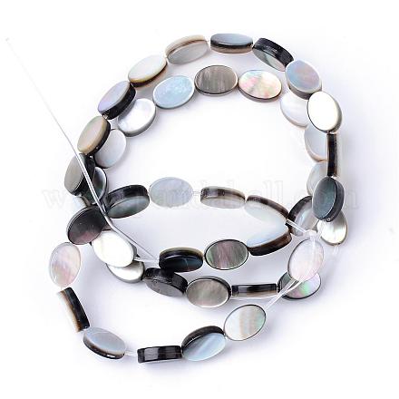 Brins de perles de coquille de lèvre noire naturelle SHEL-S249-35-1