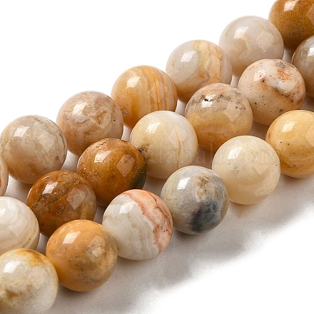 Chapelets de perles en agate fou naturel G-H298-A12-03-1