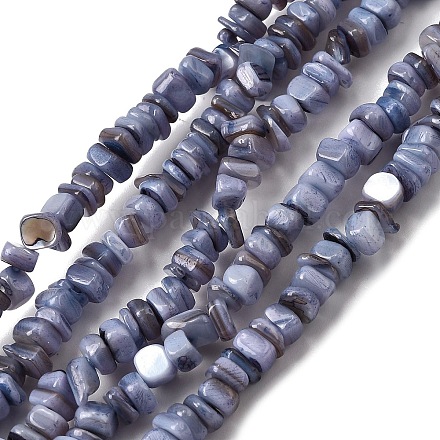 Бусины из натуральных пресноводных ракушек SHEL-B003-01G-1