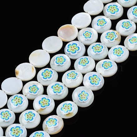 Perles d'émail de coquille d'eau douce naturelle SHEL-N026-191-1