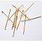 Iron Flat Head Pins, Cadmium Free & Lead Free, Golden, 22x0.75~0.8mm, 20 Gauge, about 8333pcs/1000g, Head: 2mm