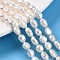 Natural Cultured Freshwater Pearl Beads Strands, Two Sides Polished, Creamy White, 7~8.5x6~7x4~6mm, Hole: 0.6mm, about 23pcs/strand, 7.09''(18cm)