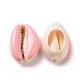 Perles de coquillage cauri naturelles SHEL-XCP0001-06-2