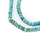 Chapelets de perles en turquoise naturelle G-I249-D01-3