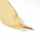 Flat Transparency Polyester Chiffon Shoelaces DIY-WH0265-04J-2