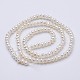 Natural Cultured Freshwater Pearl Beads Strands PEAR-F004-63-2