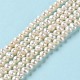 Natural Cultured Freshwater Pearl Beads Strands PEAR-E018-59-2