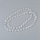 Chapelets de perles en verre X-GLAA-R196-12x9mm-01-3