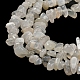 Chapelets de perles en pierre de lune naturelle G-G0003-B42-3