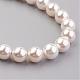 Shell Pearl Beaded Necklaces NJEW-JN01913-3