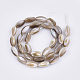 Freshwater Shell Beads Strands X-SHEL-S276-34A-2