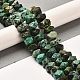 Natural African Turquoise(Jasper) Beads Strands G-N327-05-05-2