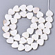 Natural Freshwater Shell Beads Strands SHEL-N026-51A-01-2