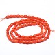 Oval Natural Coral Beads Strands CORA-N0003-35B-2