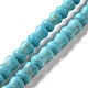 Brins de perles synthétiques teintes en turquoise G-E594-05-1