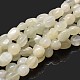 Pépites brins de perles de pierre de lune blanche naturelle X-G-J336-11-1