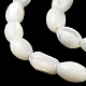 Brins de perles de coquillages naturels de troca BSHE-E030-02A-4