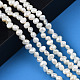 Natural Cultured Freshwater Pearl Beads Strands PEAR-N014-04A-6