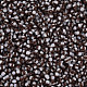 12/0 Two Tone Opaque Glass Seed Beads SEED-T006-01A-A03-2