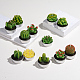 Bougies sans fumée cactus paraffine DIY-G024-F-2
