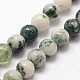 Chapelets de perles en agate d'arbre naturelle G-N0192-01-3mm-3