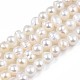 Natural Cultured Freshwater Pearl Beads Strands PEAR-N013-04A-1