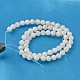 Chapelets de perles de coquillage naturel PRB001Y-2