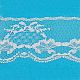 Lace Trim Nylon Ribbon for Jewelry Making ORIB-F003-222-1